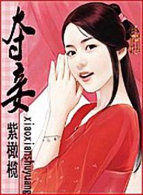 夺妾封面