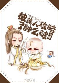 被美人攻略了肿么破（希神+圣斗士）封面