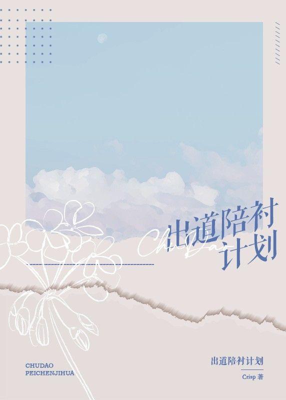 出道陪衬计划封面