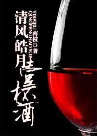 清风皓月一杯酒封面