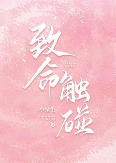 致命触碰封面