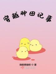 穿越种田记事封面
