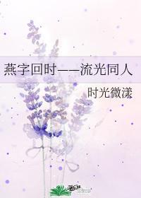 燕字回时——流光同人封面