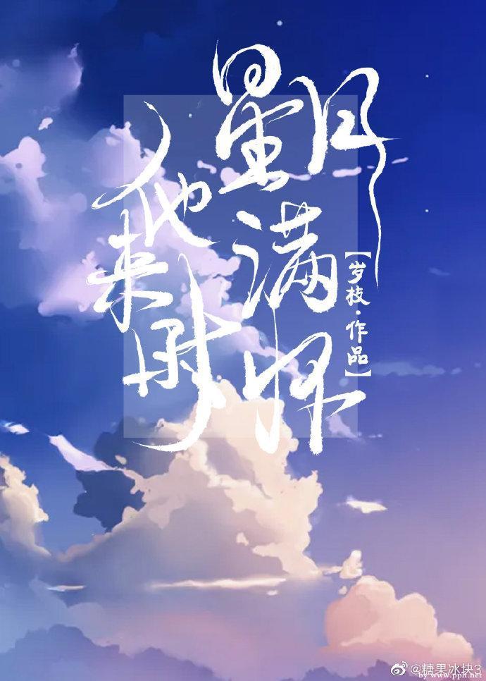 他来时星月满怀封面