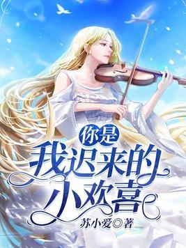 你是我迟来的小欢喜封面
