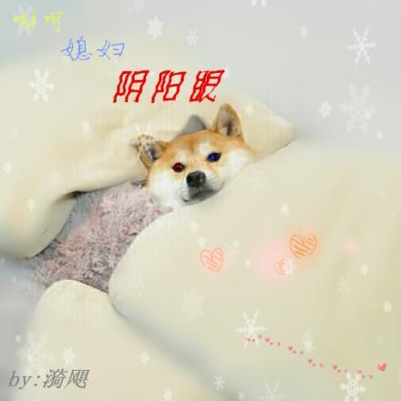 哟呵？媳妇阴阳眼？（GL）封面