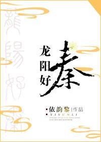 龙阳好秦封面