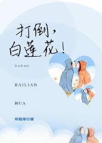打倒，白莲花！封面