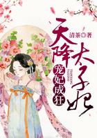 宠妃成狂：天降太子妃封面