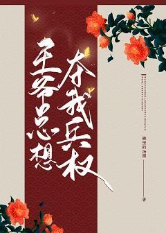 王爷总想夺我兵权封面