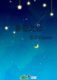 备爱之恋封面