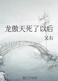 龙傲天死了以后封面