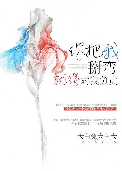 你把我掰弯就得对我负责封面
