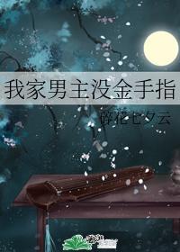 我家男主没金手指封面