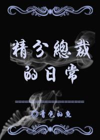 精分总裁的日常封面