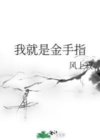 我就是金手指封面
