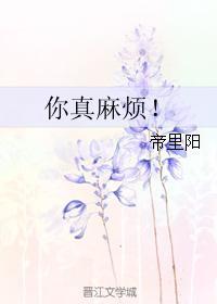 你真麻烦！封面