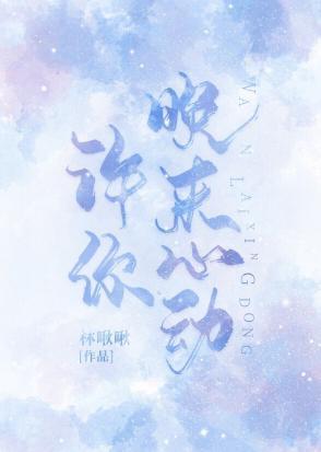 许你晚来心动封面
