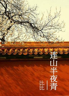 连山半夜青封面