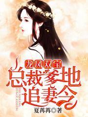 龙凤双宝：总裁在线追妻封面