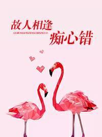 故人相逢痴心错封面