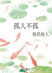 孤人不孤封面