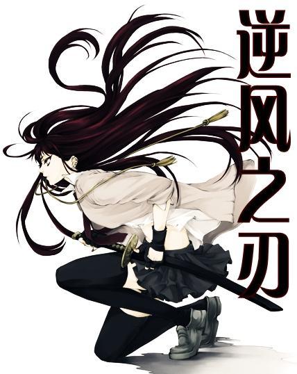 死神 逆风之刃封面
