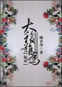 [陆贞]太后难为封面
