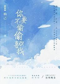 你不要偷偷喜欢我封面