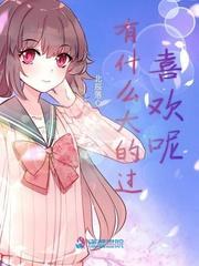 有什么大的过喜欢呢封面