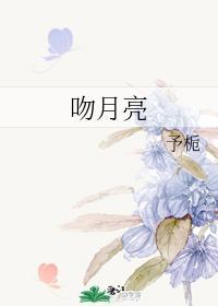 吻月亮封面