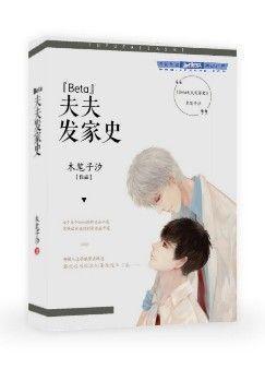 Beta夫夫发家史封面