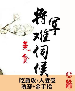 将军难伺候封面