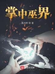掌中巫界封面