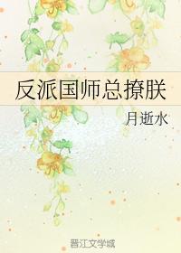 反派国师总撩朕封面