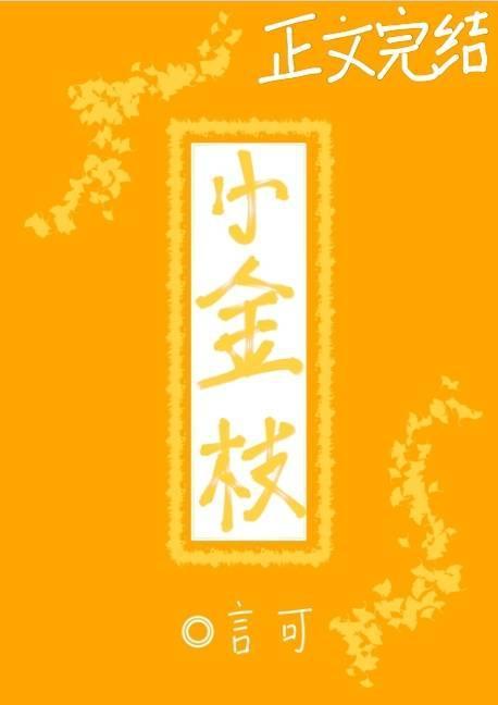 小金枝封面