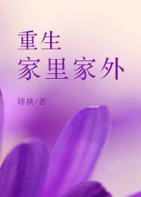 重生家里家外封面