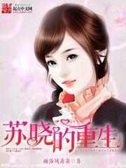 苏晓的重生封面