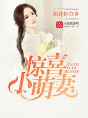 喜从妻来：傲娇老公，深深宠封面