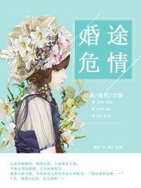 婚途危情何浅浅杜正帆封面
