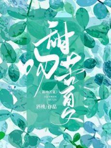 甜吻苦夏封面