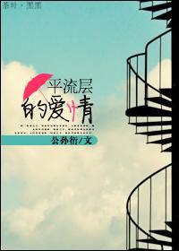 平流层的爱情封面