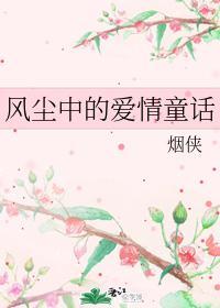 风尘中的爱情童话封面