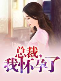 总裁，我怀孕了封面
