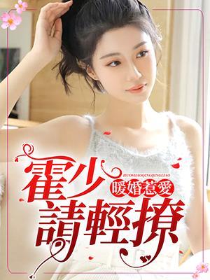 暖婚惹爱：霍少请轻撩封面