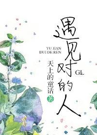 遇见对的人GL封面