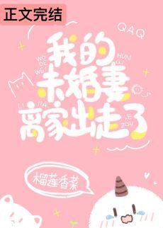 我的未婚妻离家出走了封面