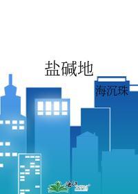 盐碱地封面