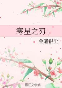 寒星之刃封面