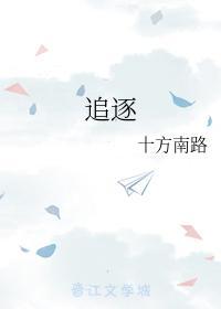 追逐封面